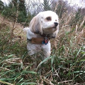 Meet your Posher, Claire